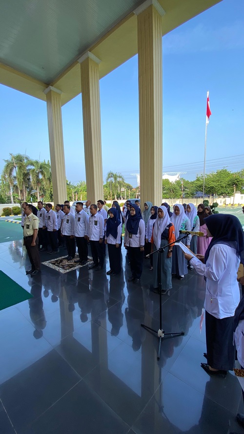1.apel1108