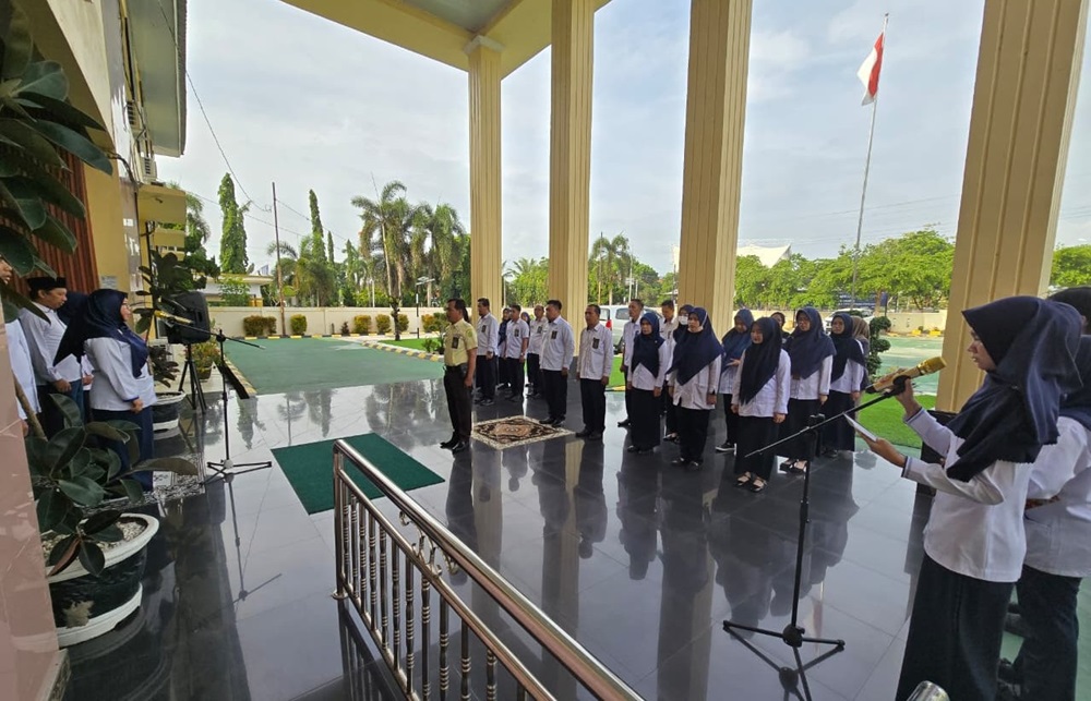 apelsya