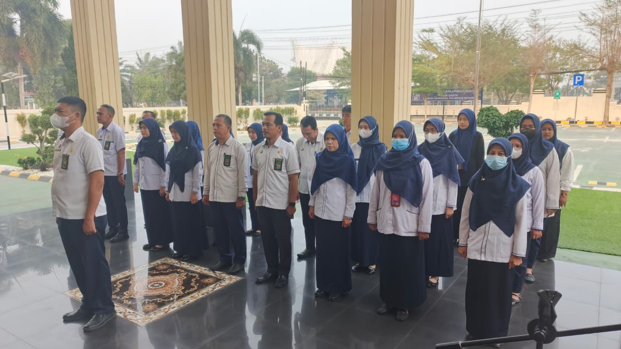 apel1210 2